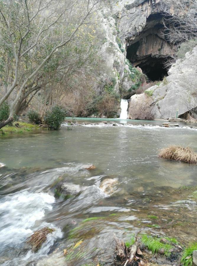 Casa Rural Las Rosas De Benaoján Exteriér fotografie