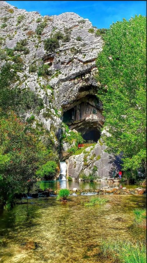 Casa Rural Las Rosas De Benaoján Exteriér fotografie